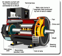 Electric Generator